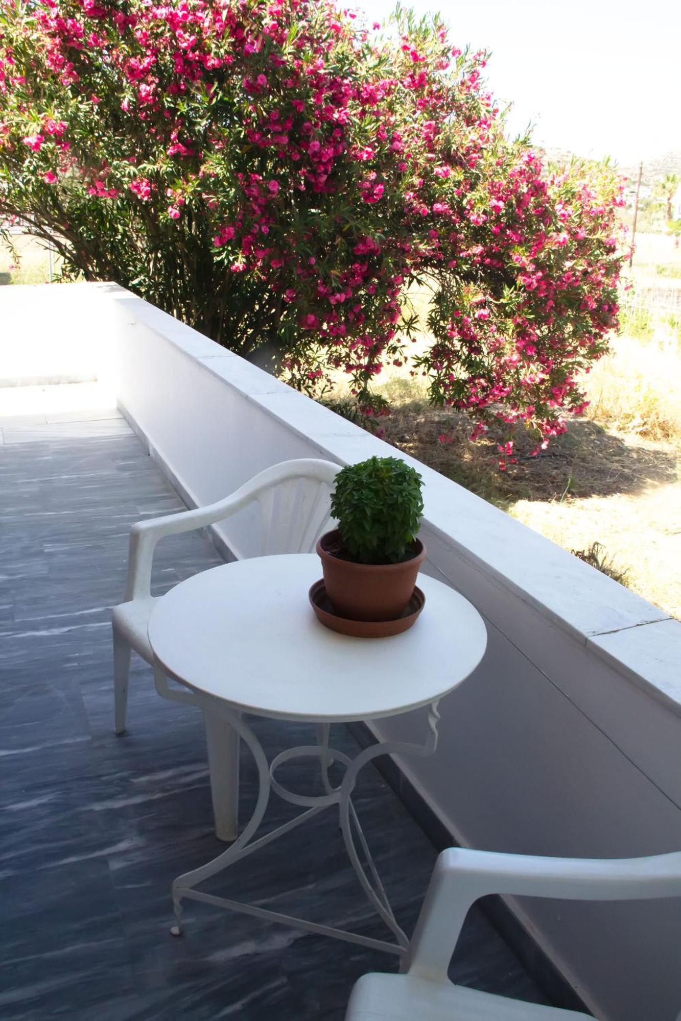 Aristidis Appartement Galissas Buitenkant foto